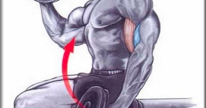 Treino para bíceps: dicas e exercícios - Hipertrofia
