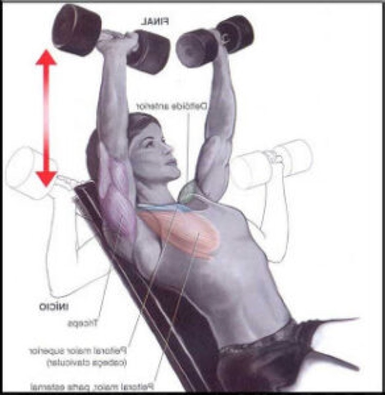 Supino inclinado com halteres: como fazer, músculos usados e benefícios