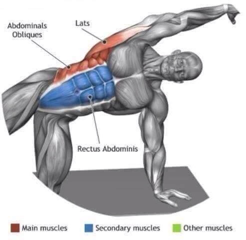 Exercicios alongamento