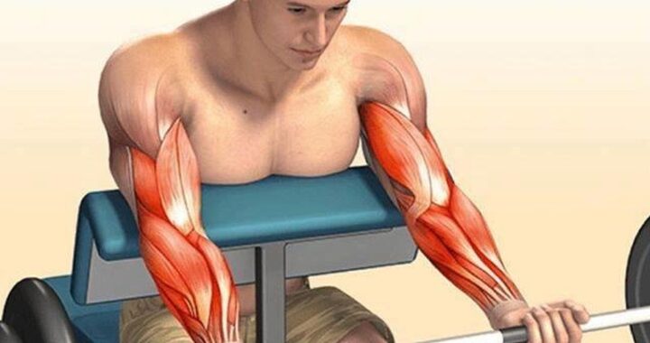 Exercícios de bíceps