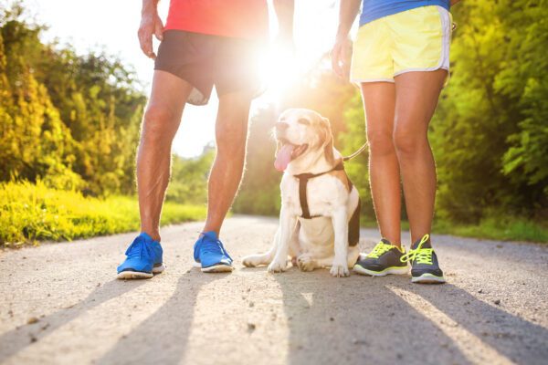 Importância do Calçado Desportivo: Guia Completo para Escolher o Melhor para Cada Atividade