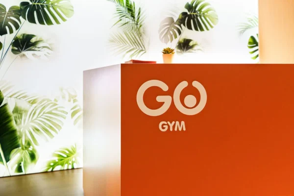 Go Gym Maia