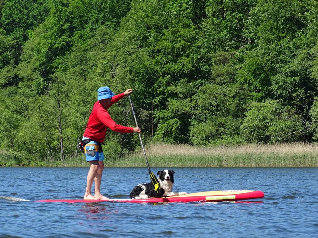 Caiaque e stand up paddle: atividades náuticas imperdíveis em Portugal em Noticias stand up paddle